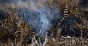 Read more about the article Agradecimento aos meus bombeiros…